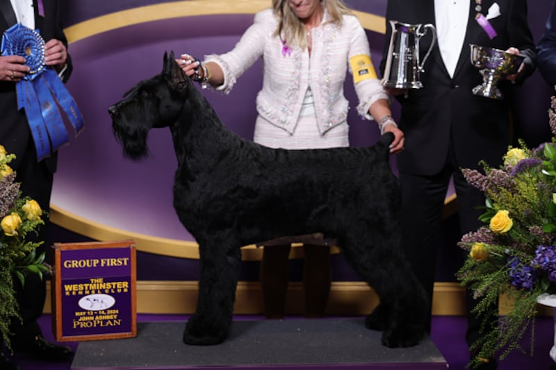 Westminster Kennel Club