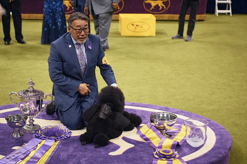 Westminster Kennel Club