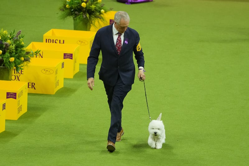 Westminster Kennel Club